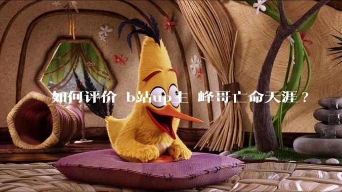 如何评价 b站up主 峰哥亡命天涯?
