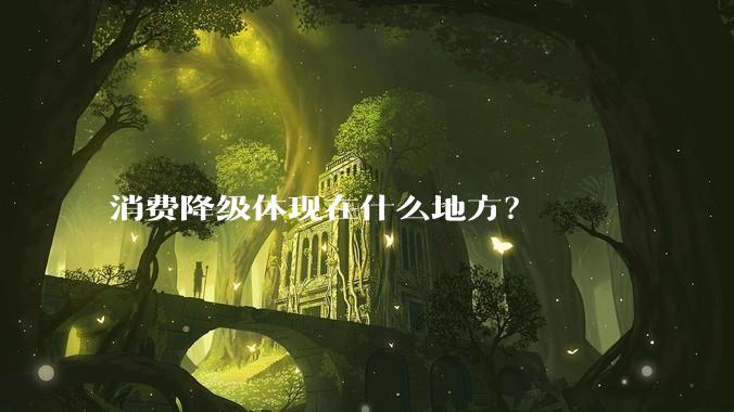 消费降级体现在什么地方？