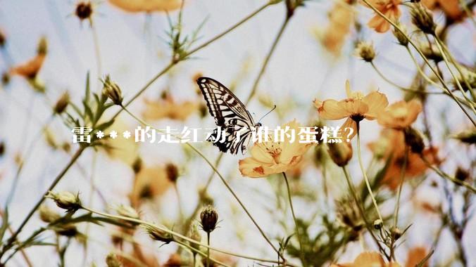 雷***的走红动了谁的蛋糕？
