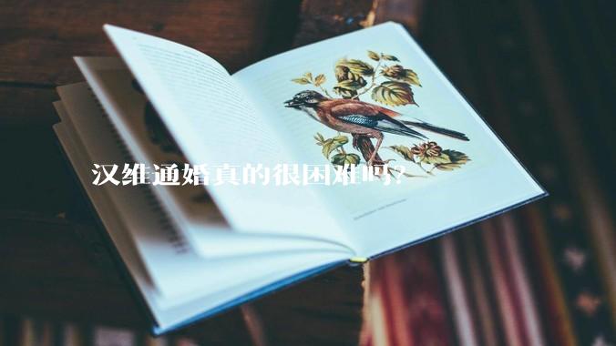 汉维通婚真的很困难吗？