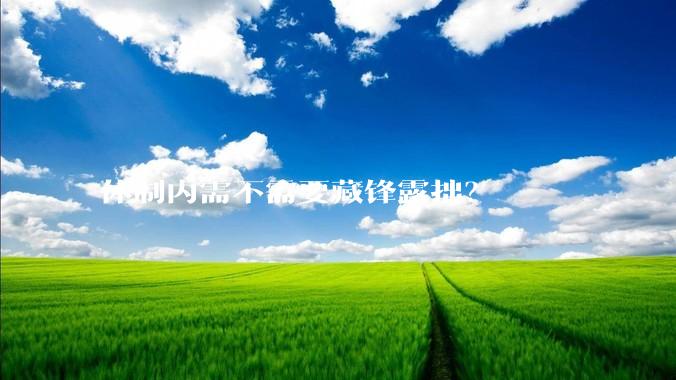 体制内需不需要藏锋露拙？
