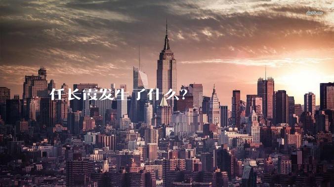 任长霞发生了什么？