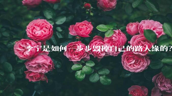 李宁是如何一步步毁掉自己的路人缘的？