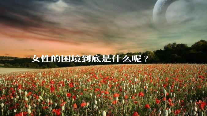 女性的困境到底是什么呢?