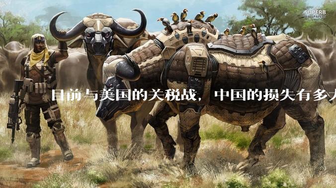 目前与美国的关税战，中国的损失有多大？