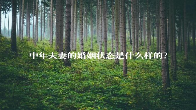 中年夫妻的婚姻状态是什么样的？